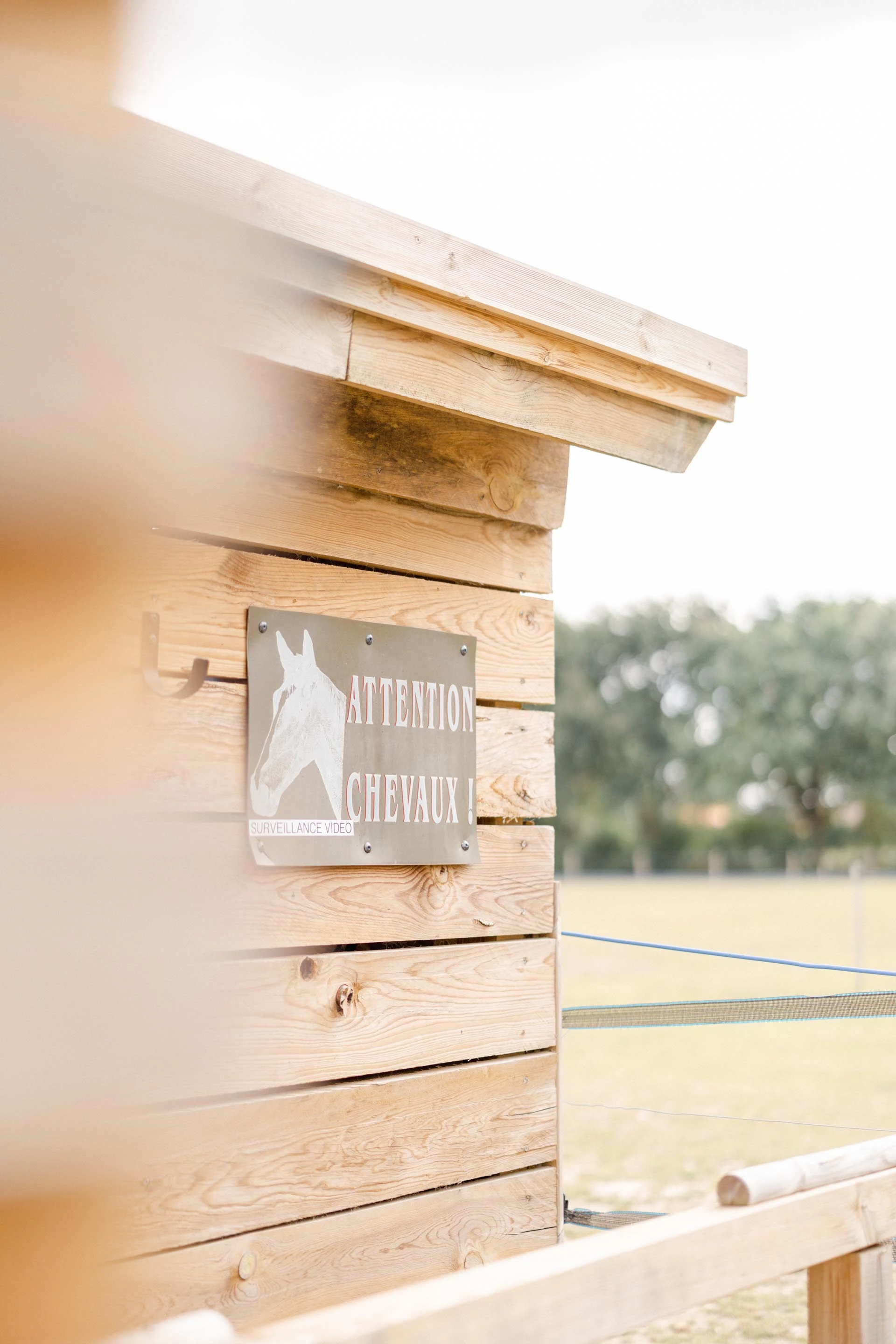 bois planche gris marron animal